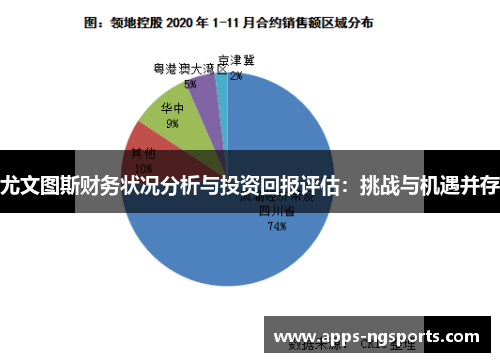 尤文图斯财务状况分析与投资回报评估：挑战与机遇并存